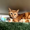 Thumbnail photo of Diego #3