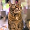 Thumbnail photo of Martha #1