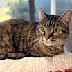 Thumbnail photo of Martha #2