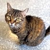 Thumbnail photo of Martha #3