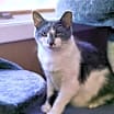 Thumbnail photo of Thumper #1
