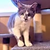 Thumbnail photo of Thumper #3