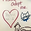 Thumbnail photo of Paytrix #4