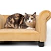 Thumbnail photo of Buttercup #2