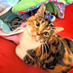 Thumbnail photo of Reba #1