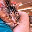 Thumbnail photo of Reba #2