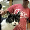 Thumbnail photo of Simon #1