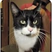 Thumbnail photo of Simon #2