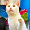 Thumbnail photo of Oliver #1