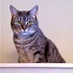 Thumbnail photo of Charlotte #1