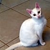 Thumbnail photo of Ellie Mae #1