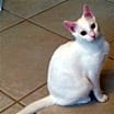 Thumbnail photo of Ellie Mae #3