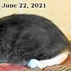 Thumbnail photo of Ivana #3
