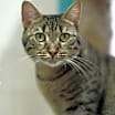 Thumbnail photo of Harper #1