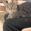 Thumbnail photo of Abby #1