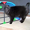 Thumbnail photo of Collette #3