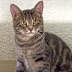 Thumbnail photo of Wiggles #2