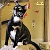 Thumbnail photo of Sasha #3