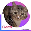 Thumbnail photo of Dara #2