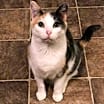 Thumbnail photo of Peigi #1