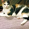 Thumbnail photo of Peigi #2