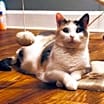Thumbnail photo of Peigi #3