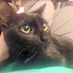 Thumbnail photo of Kaylee #1