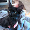 Thumbnail photo of Kaylee #3