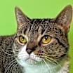 Thumbnail photo of Sloane #1