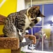 Thumbnail photo of ELLIE MAE #2