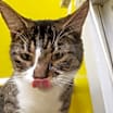 Thumbnail photo of ELLIE MAE #3