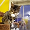 Thumbnail photo of ELLIE MAE #4