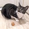 Thumbnail photo of Harper #1