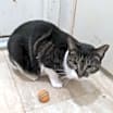 Thumbnail photo of Harper #2