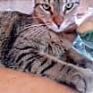 Thumbnail photo of Calvin #1