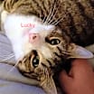 Thumbnail photo of Lucky R #2