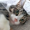 Thumbnail photo of Lucky R #3