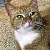 Thumbnail photo of SILLY Sami #1