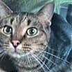 Thumbnail photo of Ralphie #1