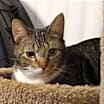 Thumbnail photo of Aspen #2