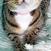 Thumbnail photo of Jewel #1