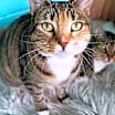 Thumbnail photo of Jewel #2