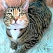 Thumbnail photo of Jewel #3