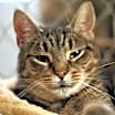 Thumbnail photo of Delilah #1