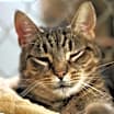 Thumbnail photo of Delilah #3