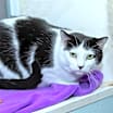 Thumbnail photo of Jessie #1