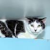 Thumbnail photo of Jessie #2