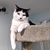 Thumbnail photo of Jessie #3