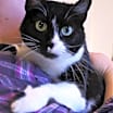 Thumbnail photo of Pam #1