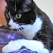 Thumbnail photo of Pam #3